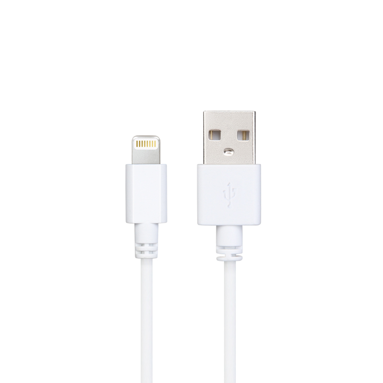 Lightning USB